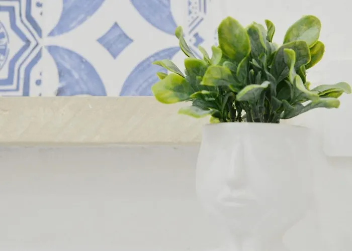 Dallavi 갈리폴리